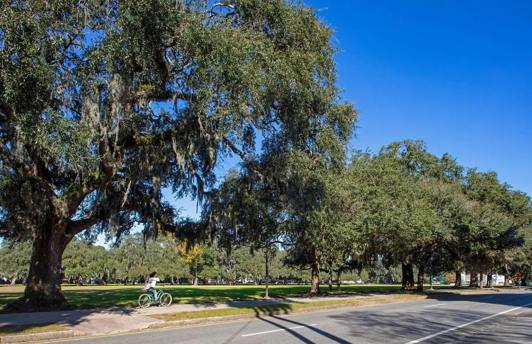 Huge 5 Bed, 5 Bath In Historic Downtown Savannah-1